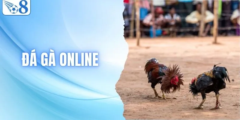 Đá Gà Online Là Gì Và Những Điều Người Chơi Nên Biết